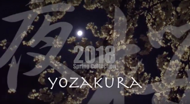 2018 -夜桜-